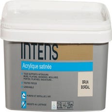 Peinture intérieure multi-supports acrylique monocouche satin brun boréal 2.5 L - INTENS