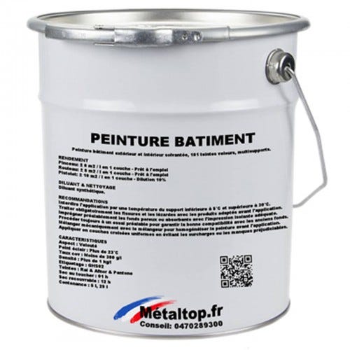 Peinture Batiment - Metaltop - Vert réséda - RAL 6011 - Pot 5L