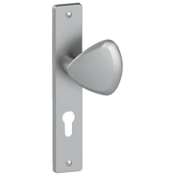 Béquille double zamak sur plaque ligne Flex entraxe 195 mm finition chromé clé I palière main gauche