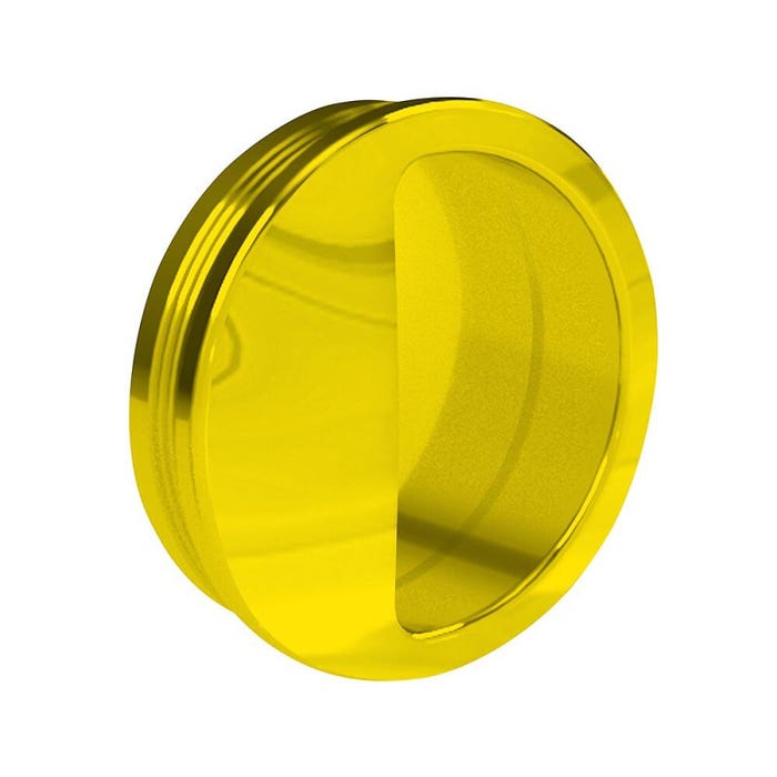 Poignée cuvette ronde diamètre 55 mm - plastique or