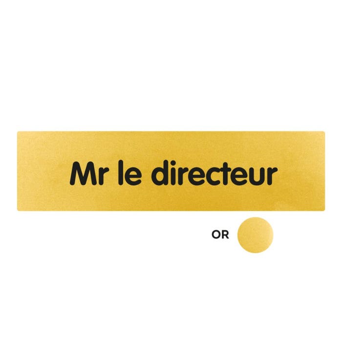 Plaquette Mr le directeur - Classique or 170x45mm - 4490861