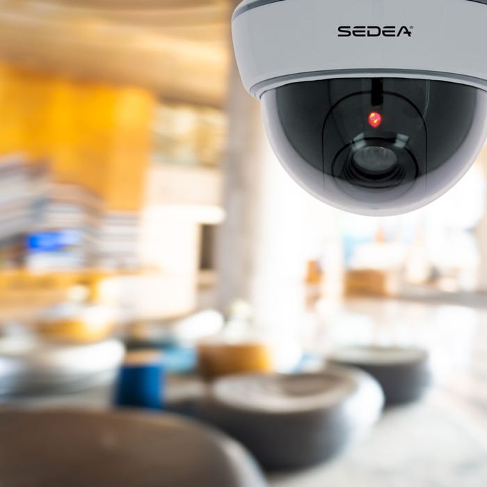 Caméra de surveillance factice type dôme avec Led clignotante - SEDEA - 550980 2