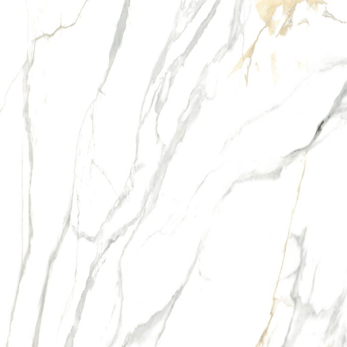 Carrelage sol intérieur effet marbre l.60x L.120cm - Salamanca 1