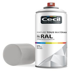 Peinture aérosol tous matériaux int/ext brillant blanc RAL9016 400 ml - CECIL PRO 0