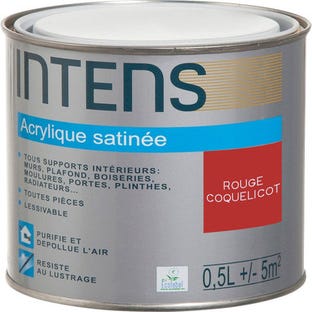 Peinture intérieure multi-supports acrylique monocouche satin rouge coquelicot 0,5 L - INTENS 0