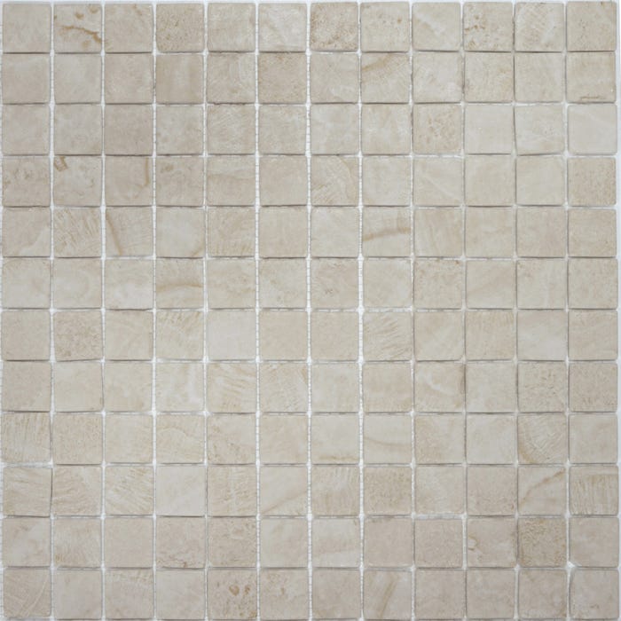 Mosaïque de berre beige mat l.31,1 x L.31,1 cm Stone 2