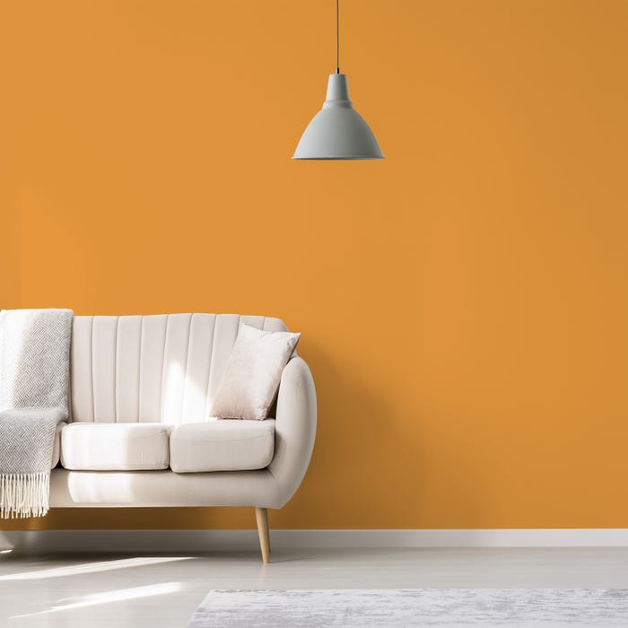 Peinture intérieure velours orange chayotte teintée en machine 10 L Altea - GAUTHIER 3