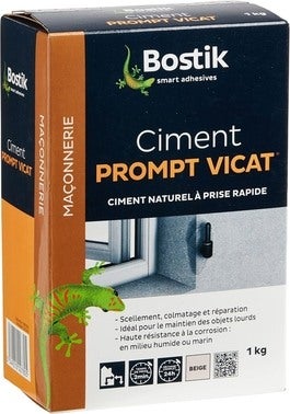 CIMENT PROMPT VICAT 10 KGS BOSTIK GRIS VERT