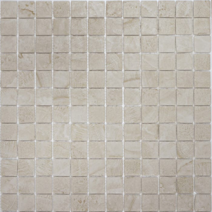 Mosaïque de berre beige mat l.31,1 x L.31,1 cm Stone 0