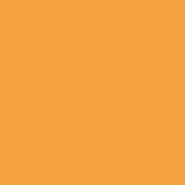 Peinture intérieure velours orange chayotte teintée en machine 10 L Altea - GAUTHIER 0
