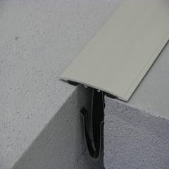 Barre de seuil aluminium à coller L.300 x l.10 cm  4