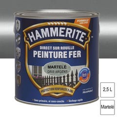 Peinture fer Direct sur Rouille Argent martelé 2,5L HAMMERITE 0