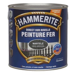 Peinture fer Direct sur Rouille Gris ardoise martelé 2,5L HAMMERITE 2