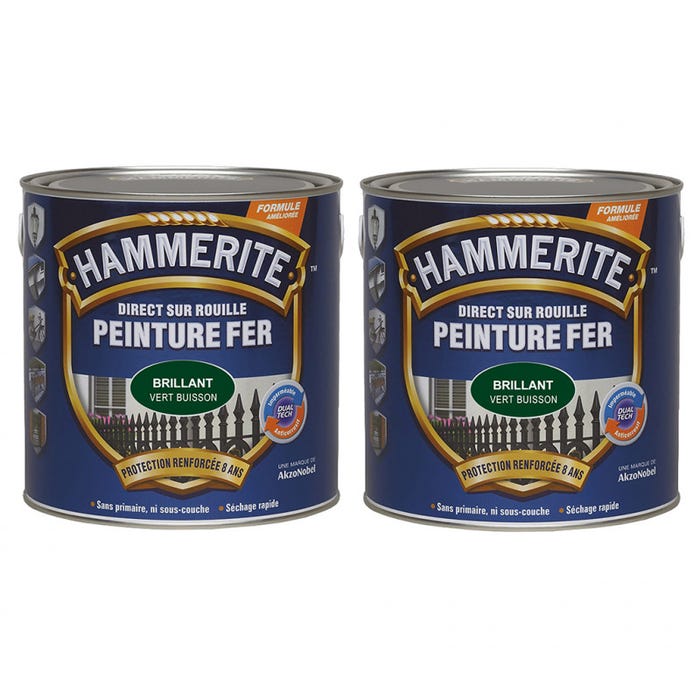 Peinture fer Direct sur Rouille Argent brillant 2,5L HAMMERITE 3