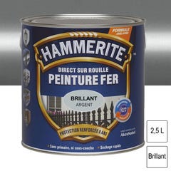 Peinture fer Direct sur Rouille Argent brillant 2,5L HAMMERITE 0