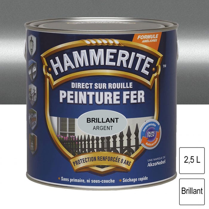 Peinture fer Direct sur Rouille Argent brillant 2,5L HAMMERITE 0