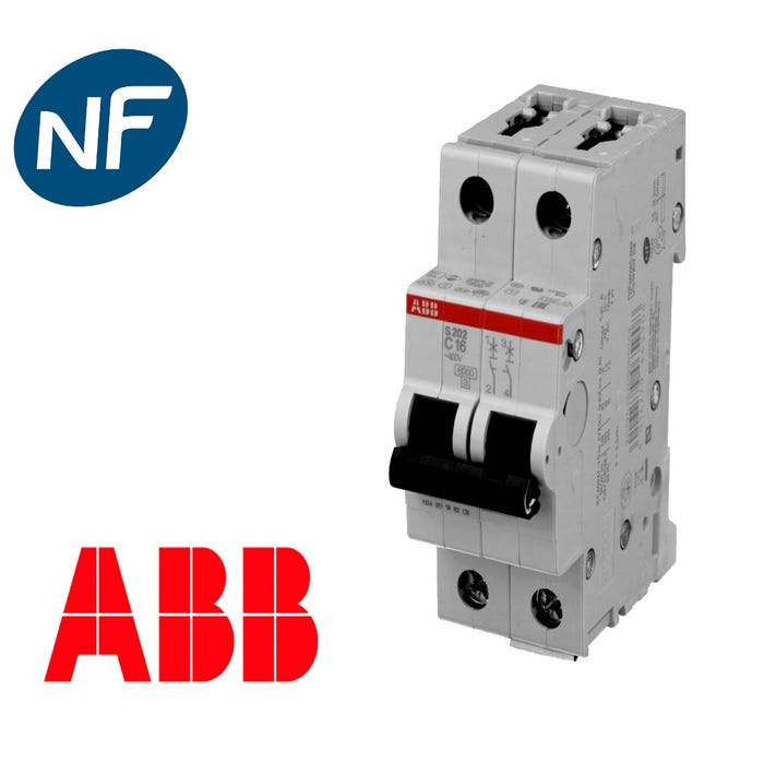 Disjoncteur Modulaire ABB 10A 2P S202-C10 1