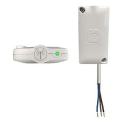 Interface radio io-homecontrol® Pour radiateurs électriques Universel 1
