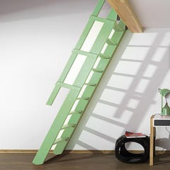 Escalier de meunier: 55cm de large - Hauteur à franchir 3m - Couleur : Vert Pastel (RAL 6019) - MSP/R6019 0
