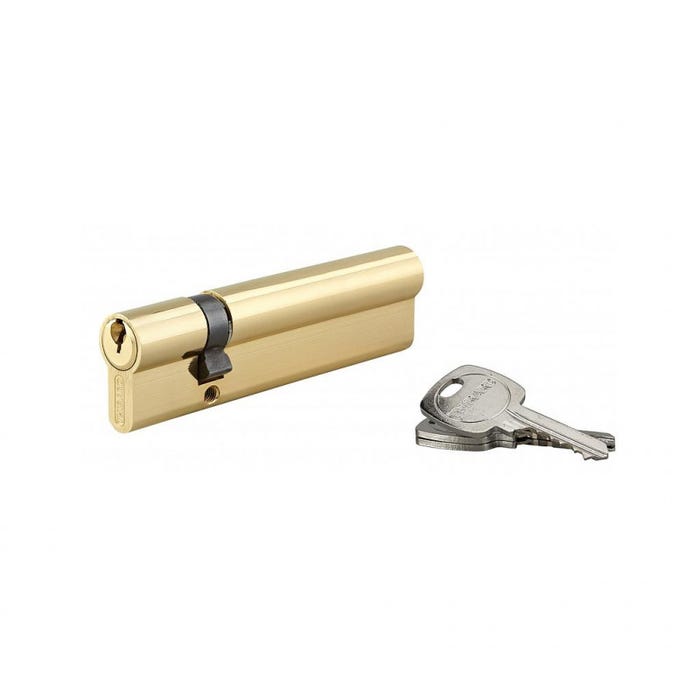 Cylindre de Serrure 30 x 90 mm 3 clés 16365 Thirard 0