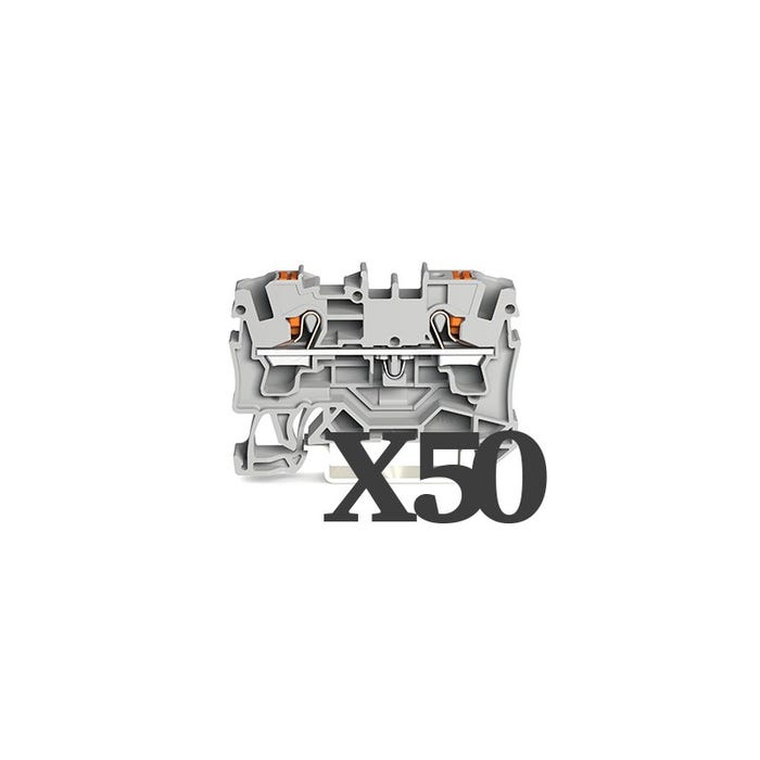 Boîte de 50 bornes de passage pour 2 conducteurs - 4mm² - Push-In CAGE CLAMP® 1