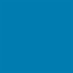 Peinture Piscine Carrelage Polyuréthane - 5 kg (jusqu'à 15m² pour 2 couches) - Bleu Ciel - RAL 5015 - ARCANE INDUSTRIES 2