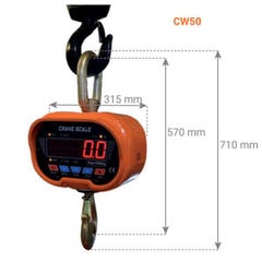 Dynamomètre électronique - charge maximum de levage 1000 kg - CW10 2