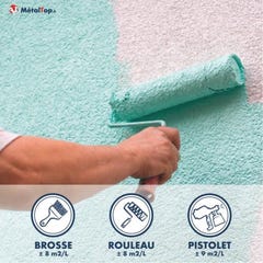 Peinture Mur Exterieur - Metaltop - Vert bleu - RAL 6004 - Pot 5L 4