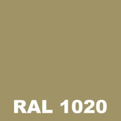 Peinture Terrasse - Metaltop - Jaune olive - RAL 1020 - Pot 5L 1