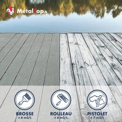 Peinture Terrasse - Metaltop - Gris fer - RAL 7011 - Pot 5L 4