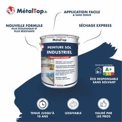 Peinture Sol Industriel - Metaltop - Vert bleu - RAL 6004 - Pot 5L 3