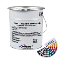 Peinture Mur Interieur - Metaltop - Gris béton - RAL 7023 - Pot 5L 0