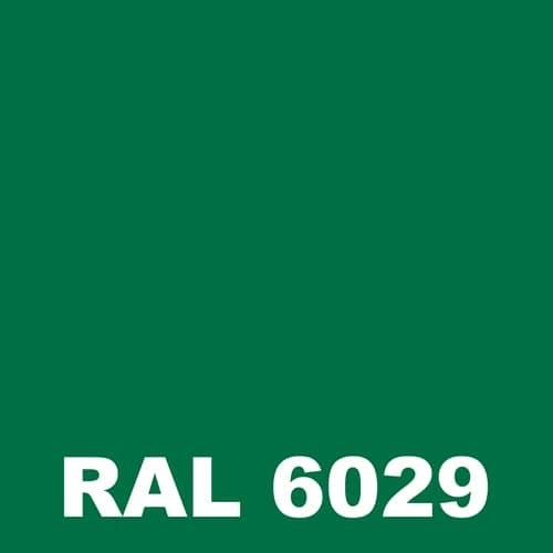 Peinture Temperature - Metaltop - Vert menthe - RAL 6029 - Pot 15L 1