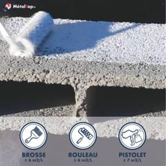 Peinture Parpaing - Metaltop - Gris ciment - RAL 7033 - Pot 15L 4