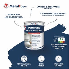 Peinture Mur Et Plafond - Metaltop - Telegris 4 - RAL 7047 - Pot 5L 3