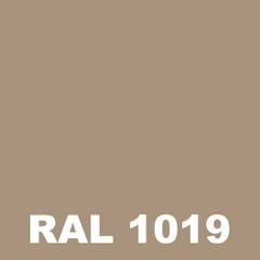 Laque Polyurethane Mat - Metaltop - Beige gris - RAL 1019 - Pot 15L 1