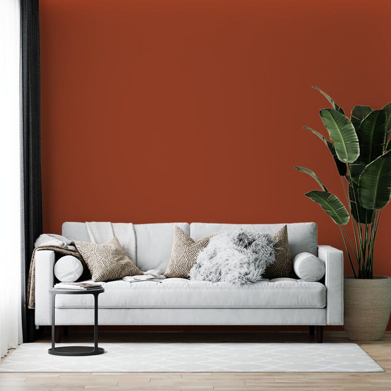 Peinture murs et plafonds Orange Grive Mate 1L, Peinture biosourcée COLIBRI 3