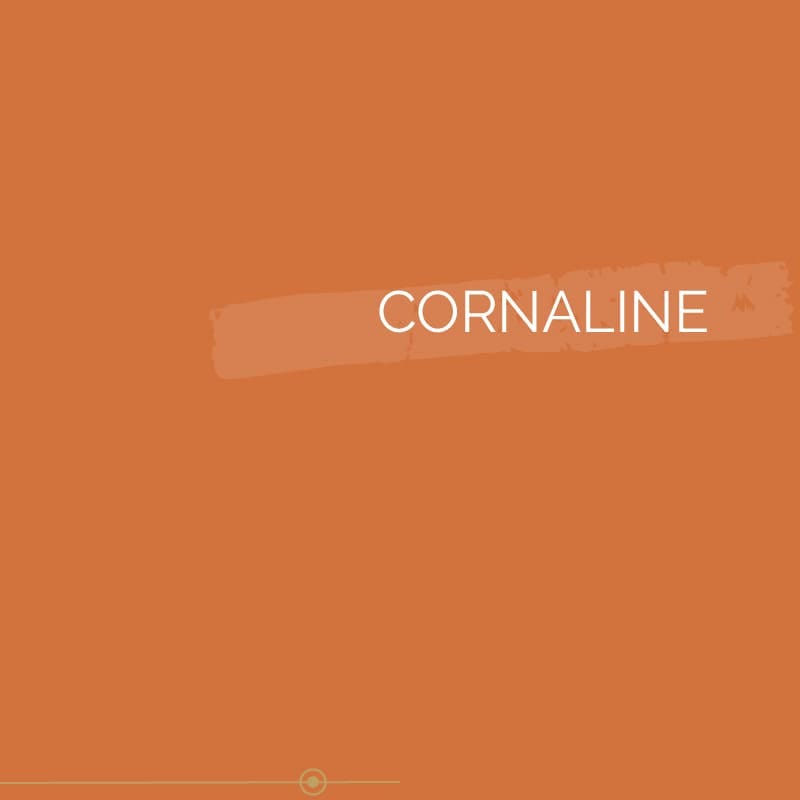 Peinture murs et plafonds Orange Cornaline Satin 3L, Peinture biosourcée COLIBRI 2
