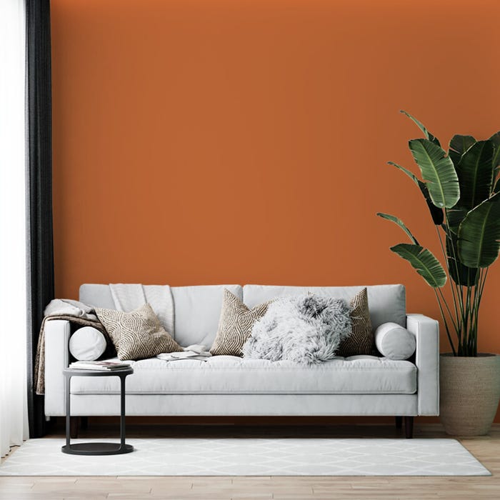 Peinture murs et plafonds Orange Cornaline Satin 3L, Peinture biosourcée COLIBRI 3