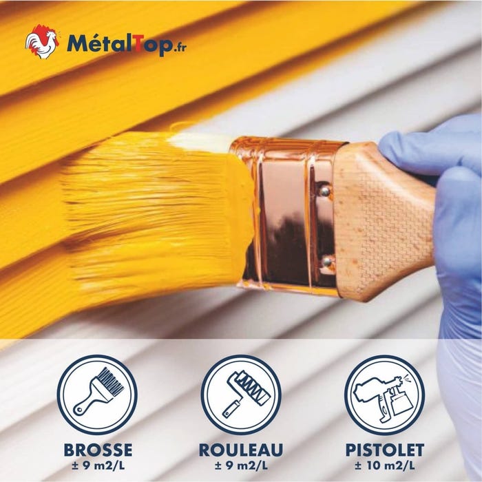 Peinture Volets Bois - Metaltop - Gris fenêtre - RAL 7040 - Pot 5L 4