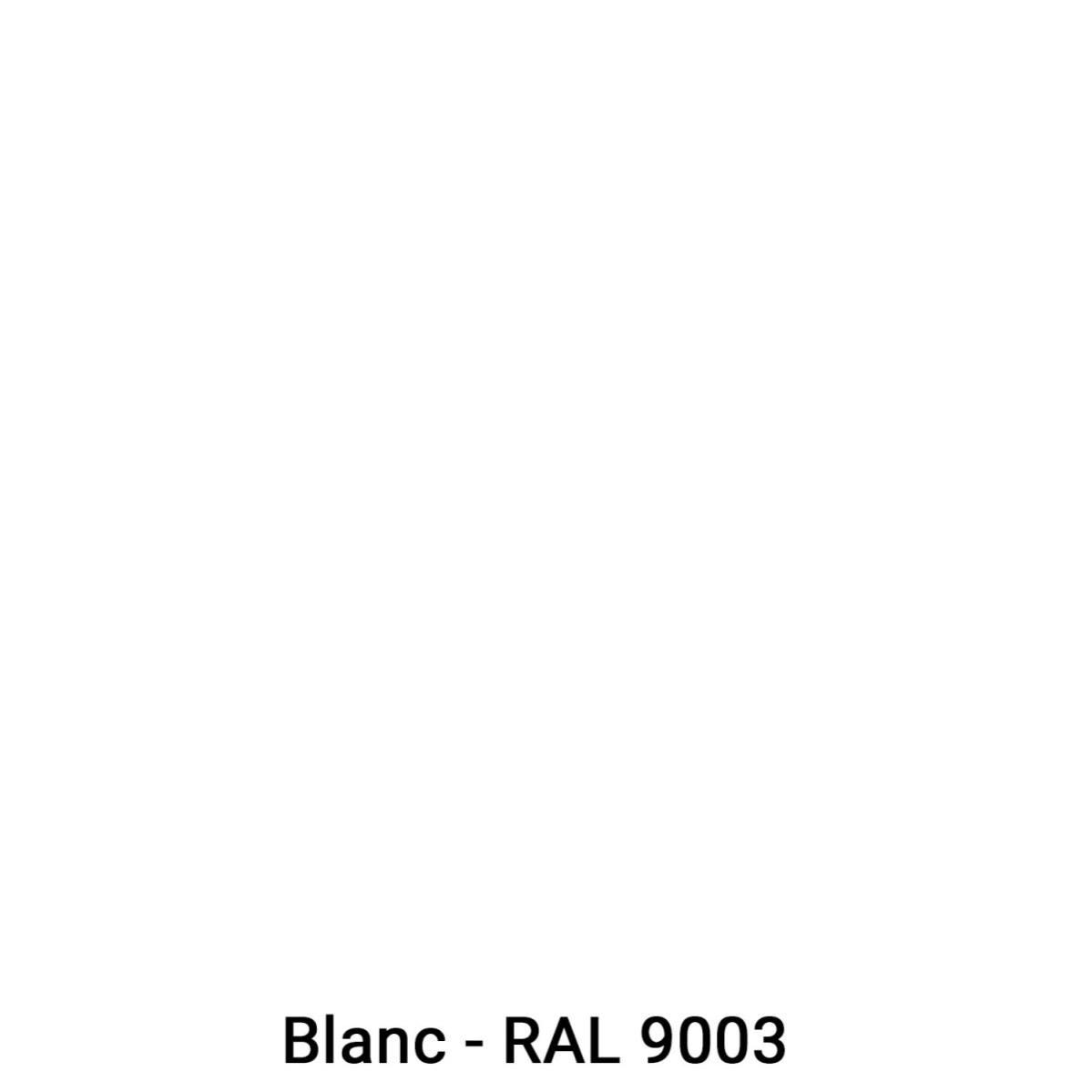 Peinture métal et fer pour : portail, grille, garde corps : ARCALAQUE 101 Blanc - RAL 9003 - 2.5 L - ARCANE INDUSTRIES 2