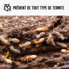 Traitement Bois Anti Termite : Traitement des bois, charpente, ossature intérieur/extérieur - 20 L - ARCANE INDUSTRIES 1