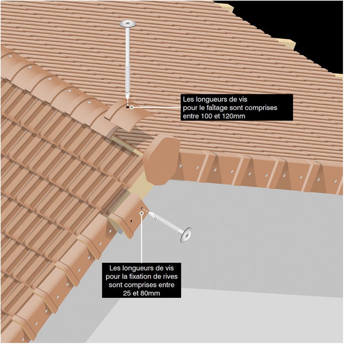 100 Vis étanches pour tuiles D. 4,5 L. 120 mm RIDGETOP-W pour le bois 3