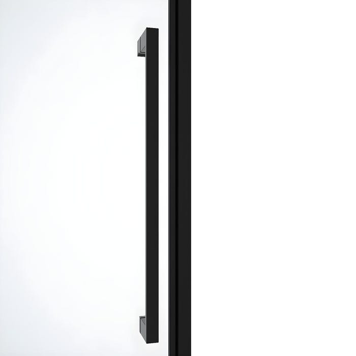 Porte de douche pivotante en métal noir mat au style industriel - 80 x 195 cm - TAMRI 6