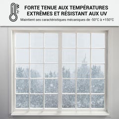 Mastic Silicone intérieur / extérieur pour fenêtres et menuiseries : ARCAMASTIC BATIMENT Transparent - 300 ml x 1 - ARCANE INDUSTRIES 4