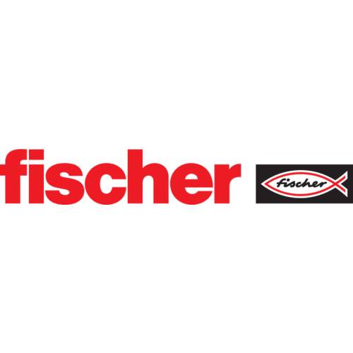 Fischer Jeu de 100 Chevilles de clou N 8x120/80 S HP (Par 100) 1