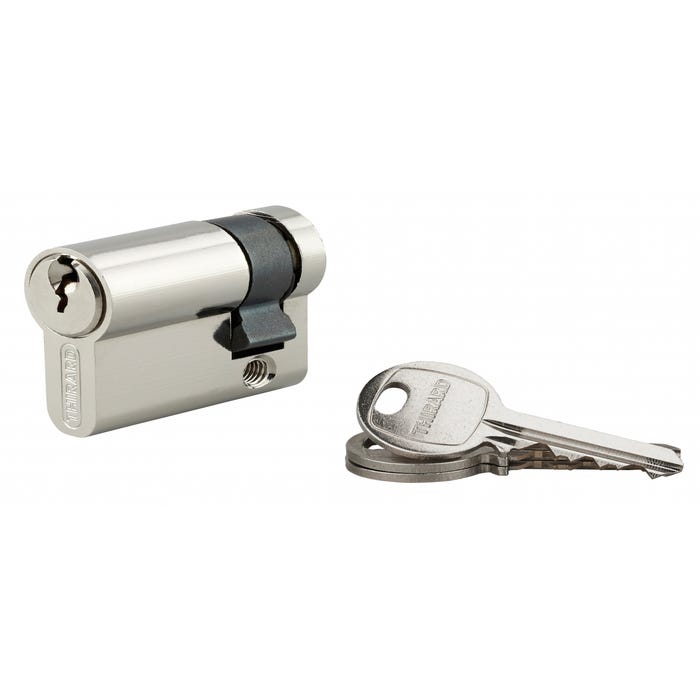 THIRARD - Demi-cylindre de serrure SA UNIKEY (achetez-en plusieurs, ouvrez avec la même clé), 30x10mm, 3 clés, nickel 0