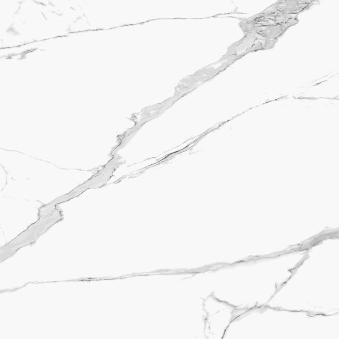 Carrelage sol/mur effet marbre blanc Statuario l.100 x L.100 cm 1