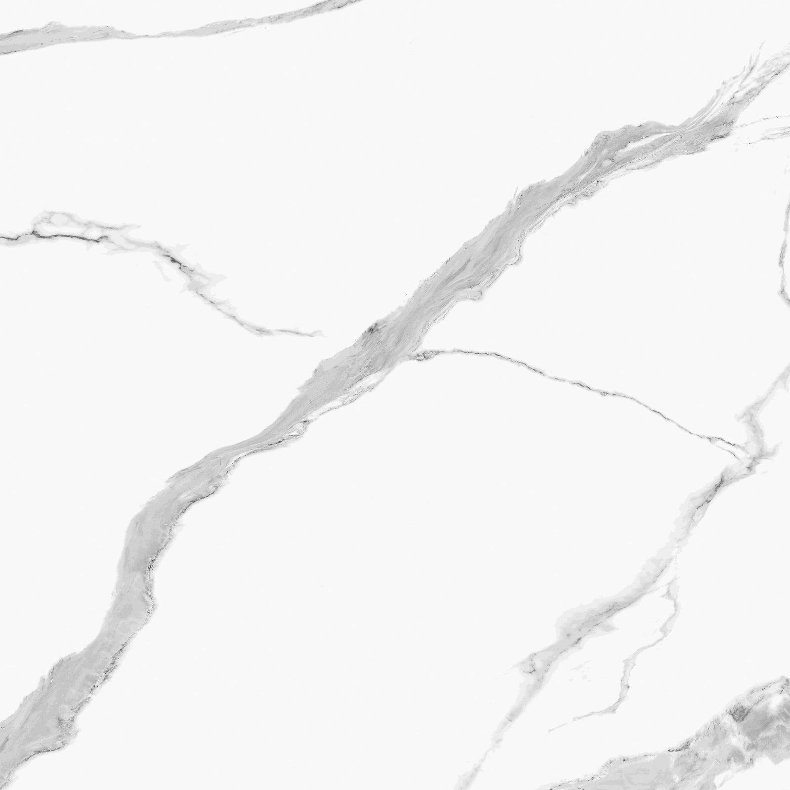 Carrelage sol/mur effet marbre blanc Statuario l.100 x L.100 cm 2