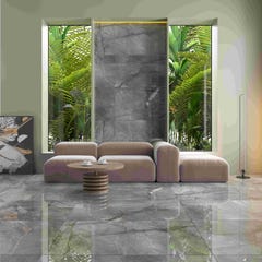 Carrelage sol/mur effet marbre gris Root Silver l.120 x L.60 cm 0